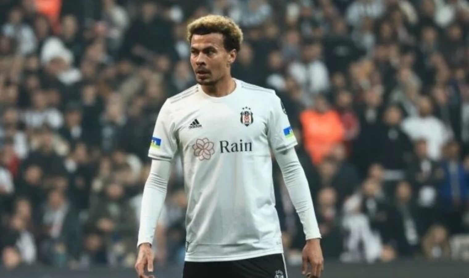 Cesc Fabregas’tan Dele Alli Erklamasi!