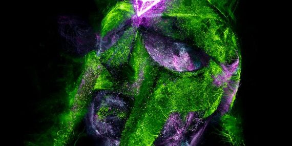 Sarikamis-Donarak-Sehit-Dusenlerin-Unutulmayan-Destani-featured