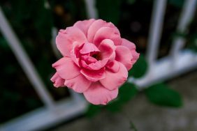 Turkiye-Ekonomisinin-Kisa-ve-Uzun-Vadeli-Makro-Sinavlari-featured