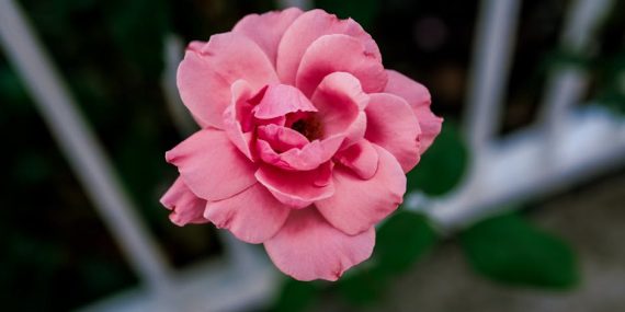 Turkiye-Ekonomisinin-Kisa-ve-Uzun-Vadeli-Makro-Sinavlari-featured