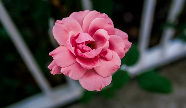 Turkiye-Ekonomisinin-Kisa-ve-Uzun-Vadeli-Makro-Sinavlari-featured