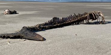 Antalya8217da-Imar-Ranti-Yabancilari-Vurdu-mu-Rus-ve-ABD8217li-Magdurlar-Konustu-featured