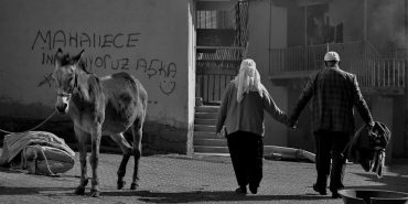 Baris-Bir-Hayal-mi-Insanligin-Ebedi-Dilegi-ve-Gercekler-featured