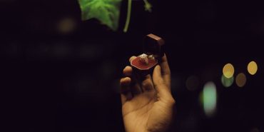 CHP8217den-Kapsamli-Iktidar-Vaatleri-Ekonomiden-Demokrasiye-Donusum-Sozu-featured