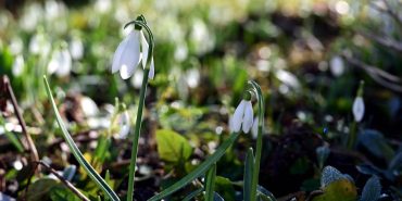 Newroz-Baharin-Uyanisi-ve-Cok-Katmanli-Bir-Direnisin-Sembolu-featured